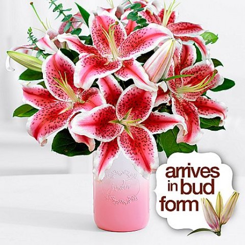 Fragrant Stargazer Lilies