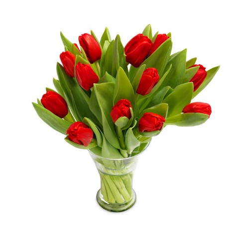 Ravishing Red tulips