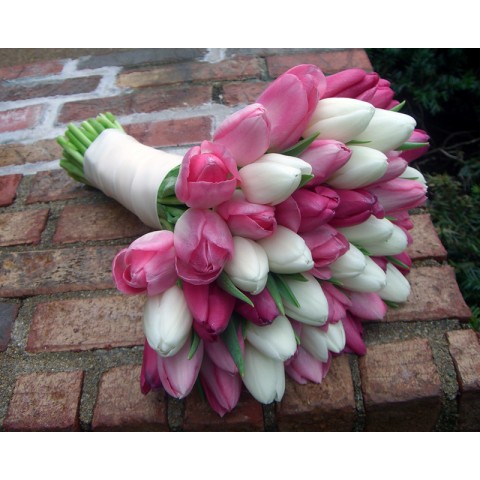 Pinkish White Tulips