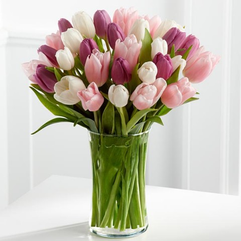 Sherbet Tulips